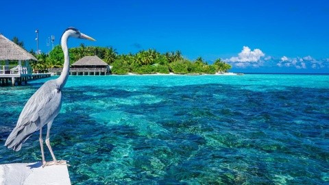 ERI Maldives (ex. Eriyadu Island Resort)