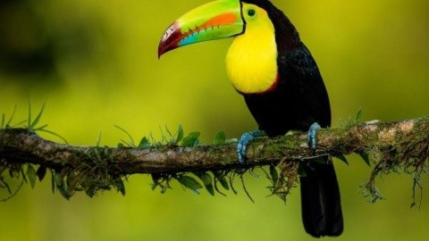 Dél-Amerika Nagy Körút - Argentína - Program szerint