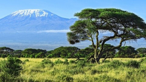 A Kilimandzsáró Árnyékában – Szafari És Pihenés Kenyában Magyar Idegenvezetővel – 2027.01.20-30.