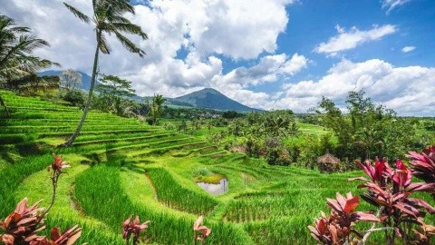 Bali, Az Istenek Szigete