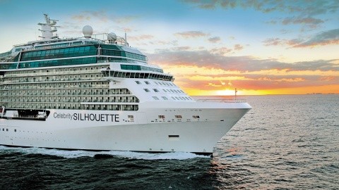 Celebrity Silhouette