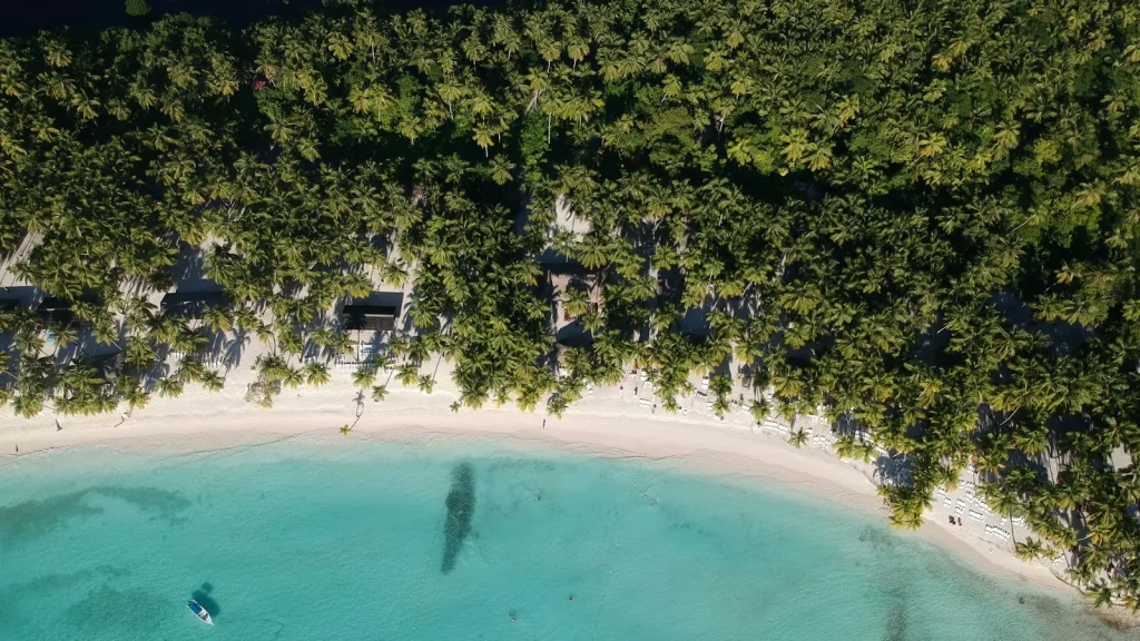 Pálmás part és türkiz tenger felülről, Punta Cana