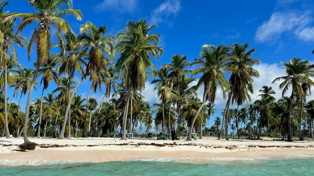 Kókuszpálmás karibi strand, Dominikai Köztársaság