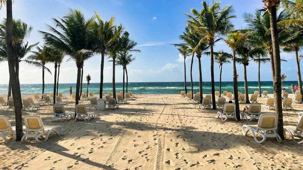 Pálmafás strand napágyakkal, Playa del Carmen, Mexikó