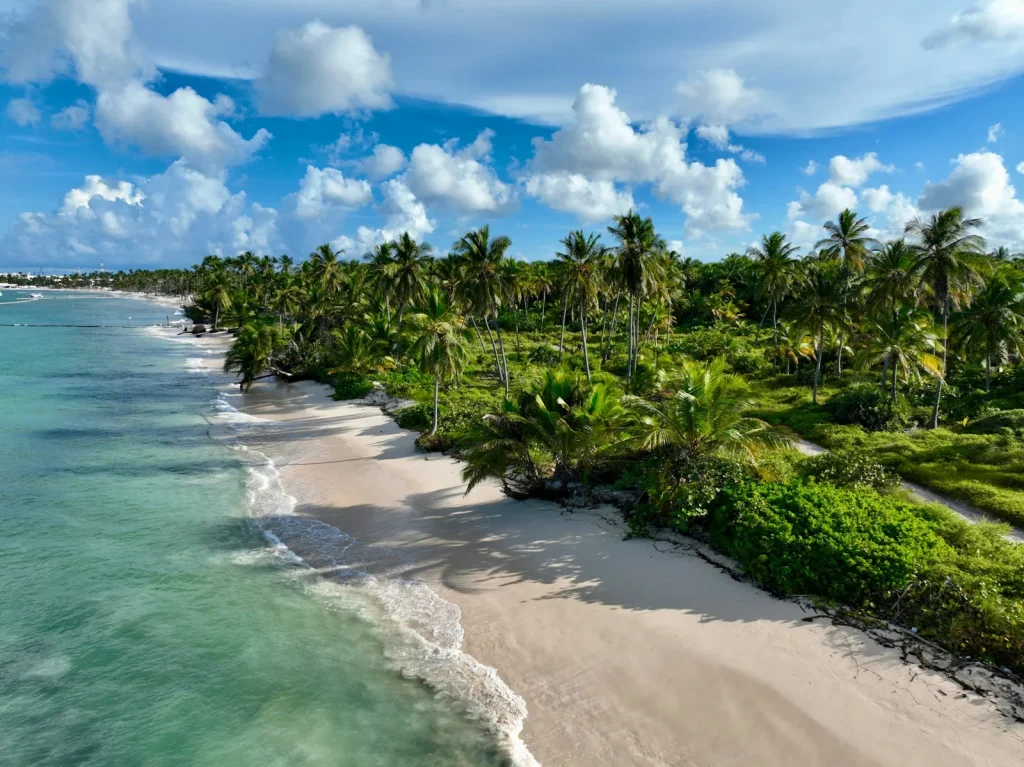 Pálmás homokos strand és türkiz tenger felülről, Punta Cana