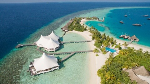 Safari Island